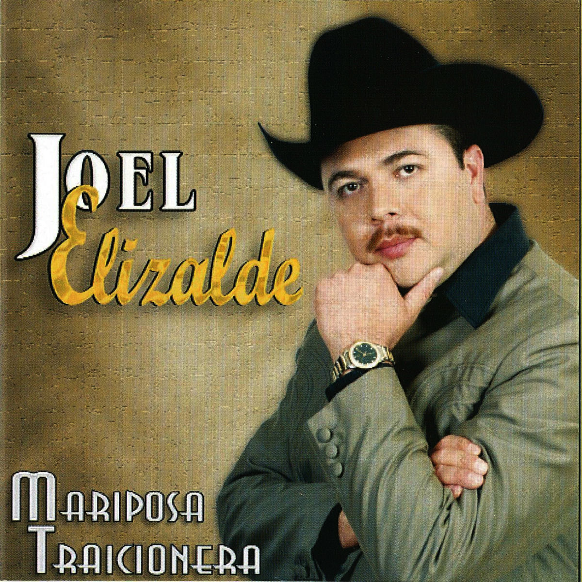Album cover of Mariposa Traicionera