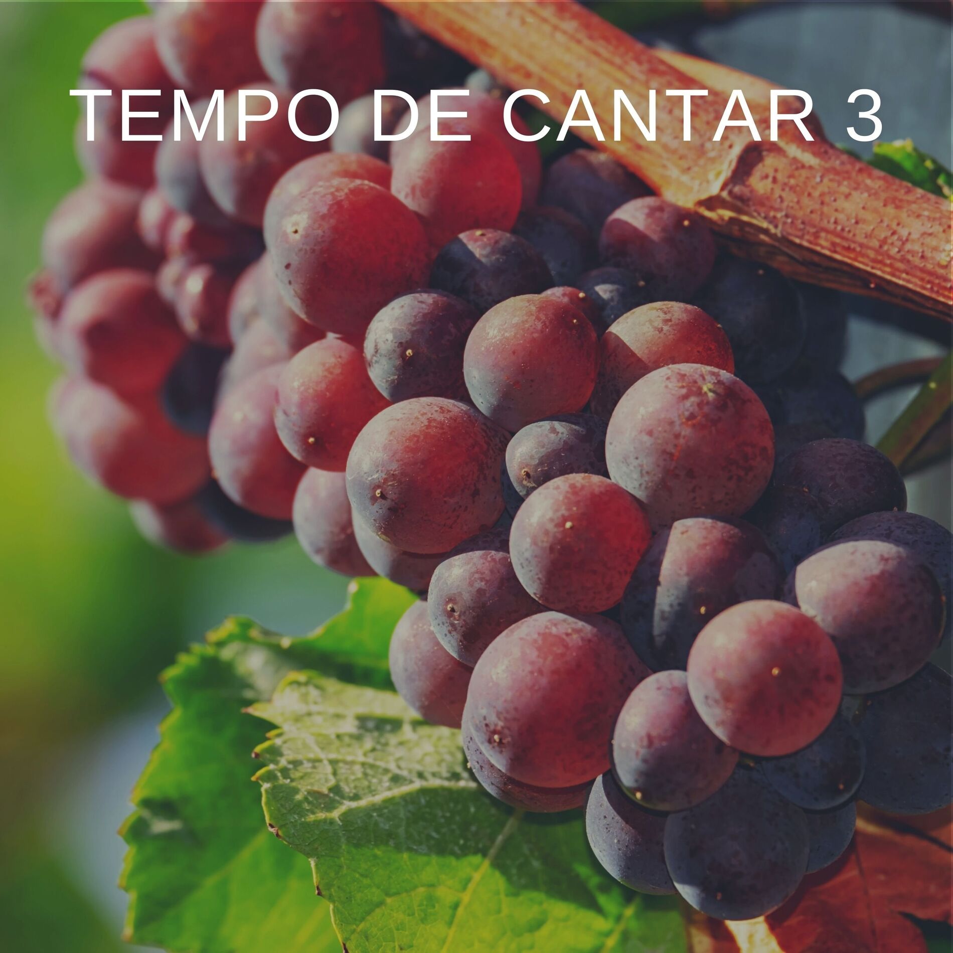 Album cover of Tempo de cantar 3