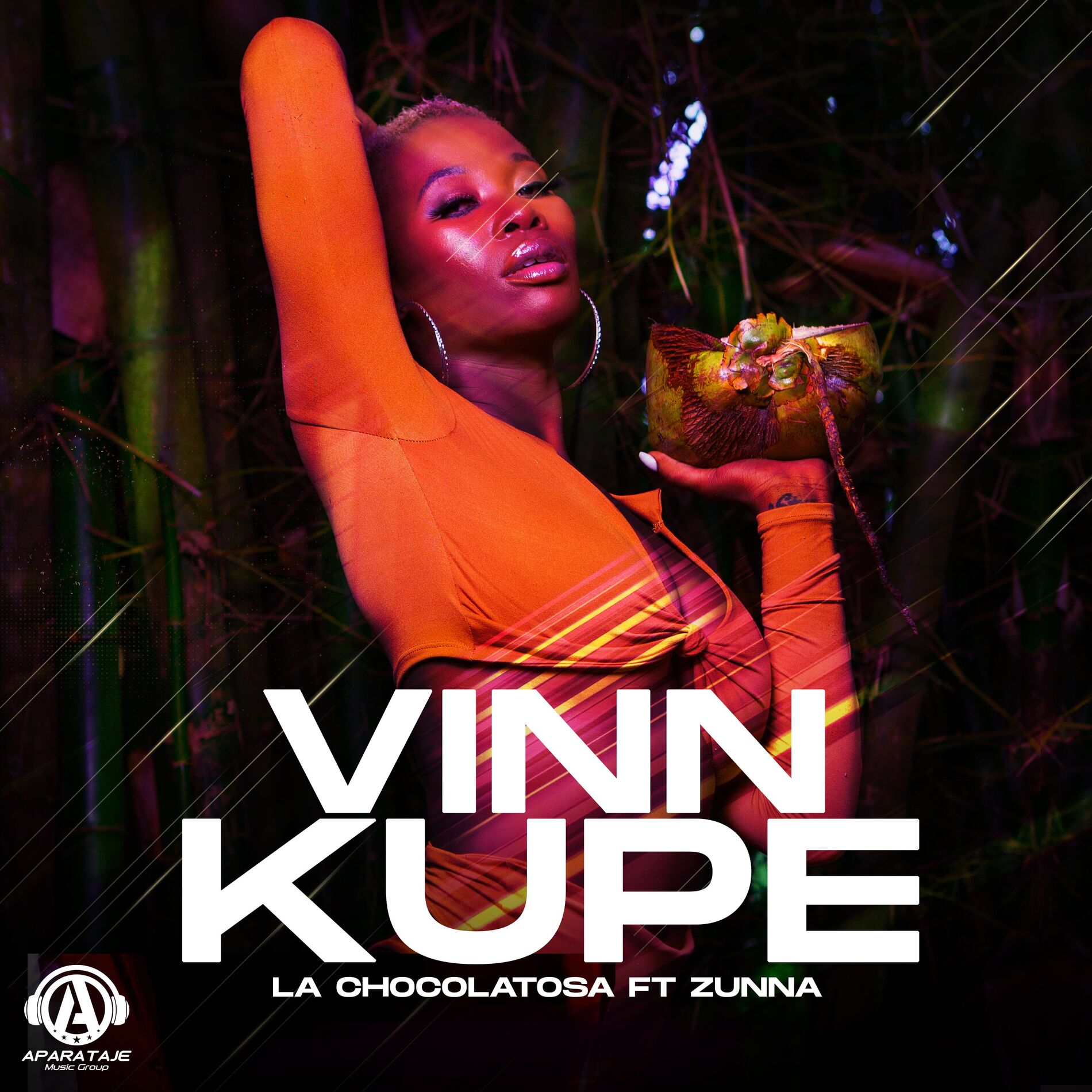 Album cover of Vinn Kupe