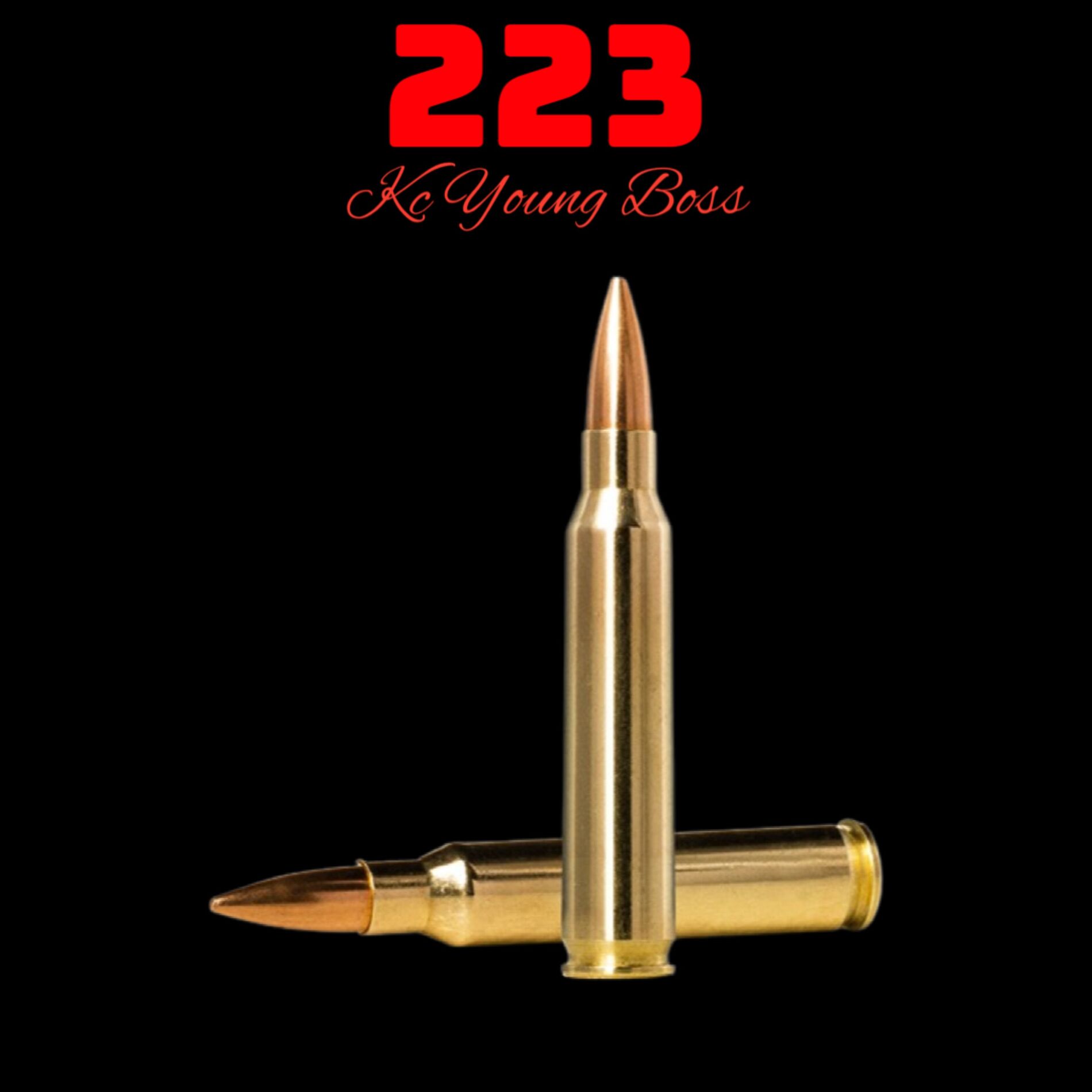 Album cover of 223