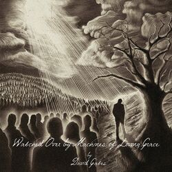 Cover of Watched over by Machines of Loving Grace