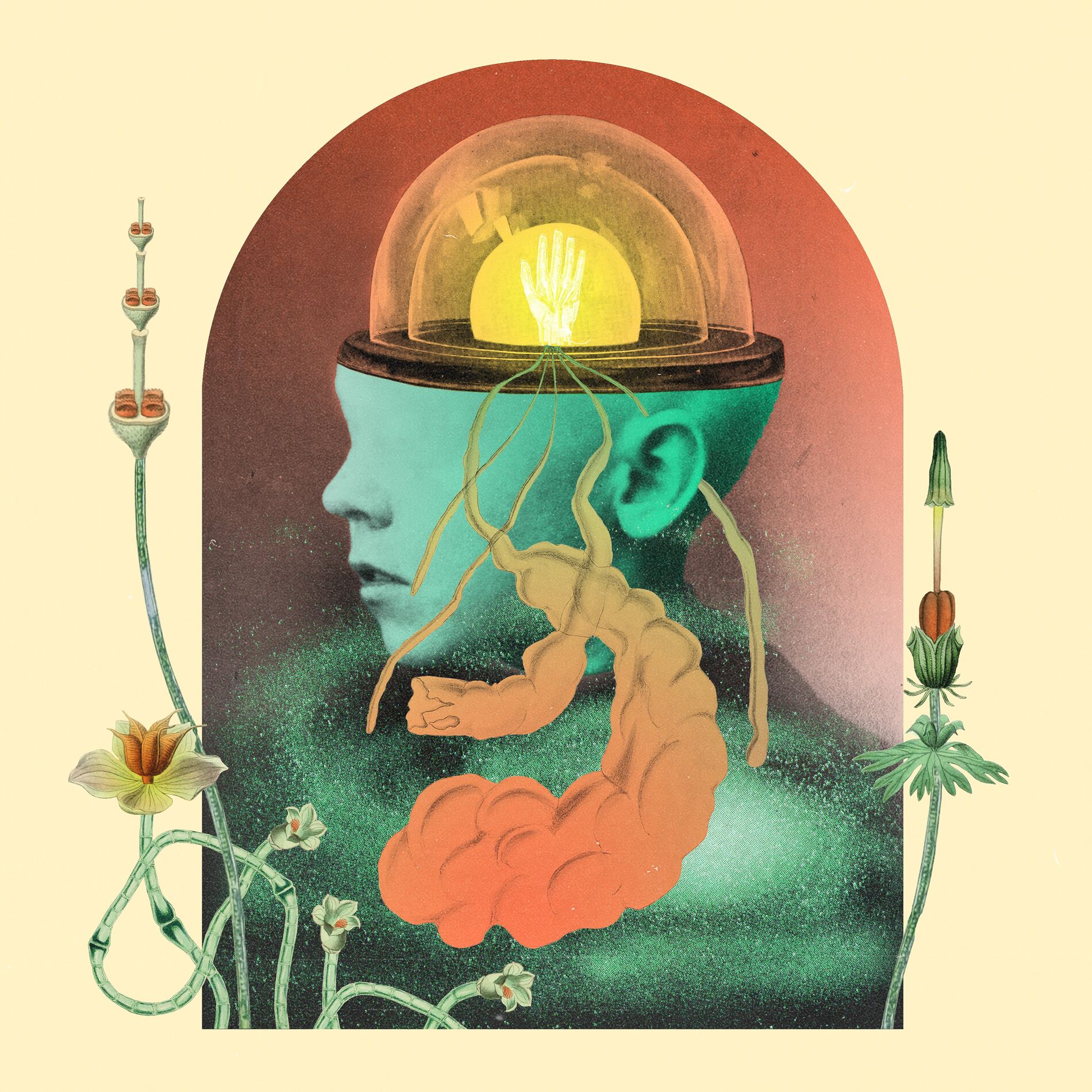 Album cover of Propaganda