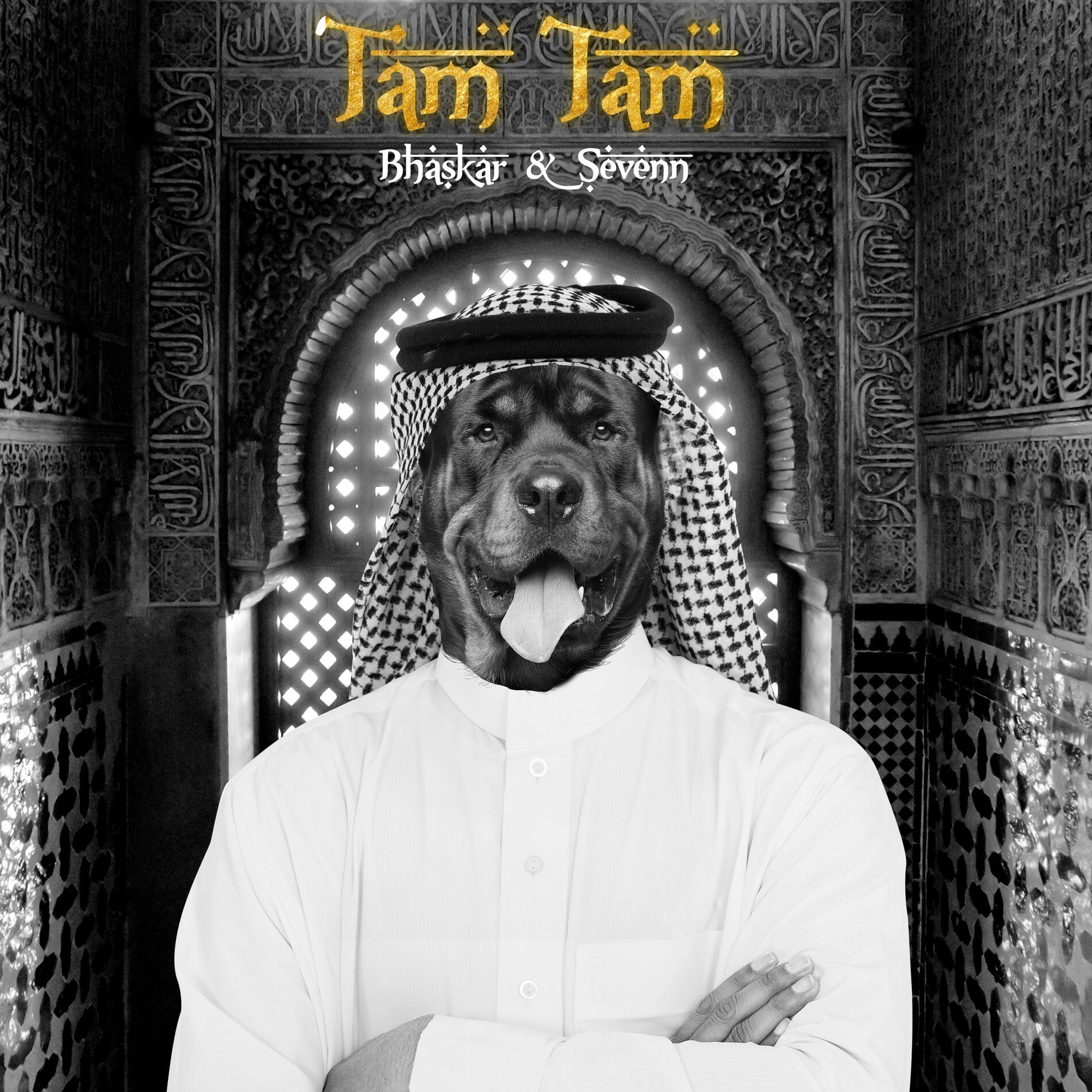 Album cover of Tam Tam