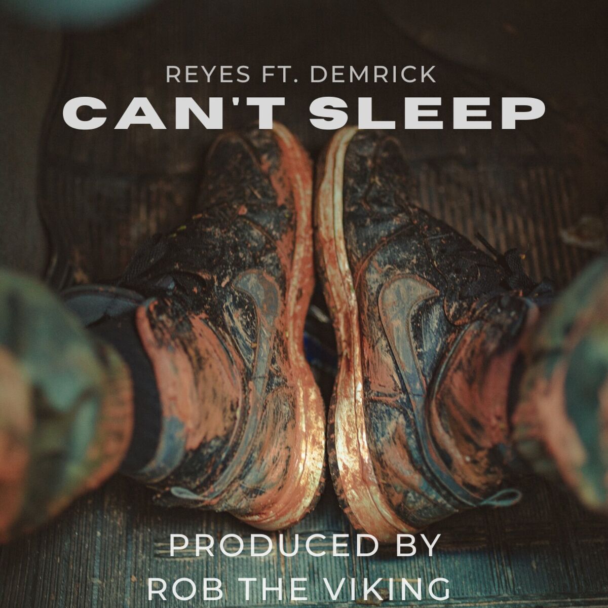 Album cover of Can't Sleep