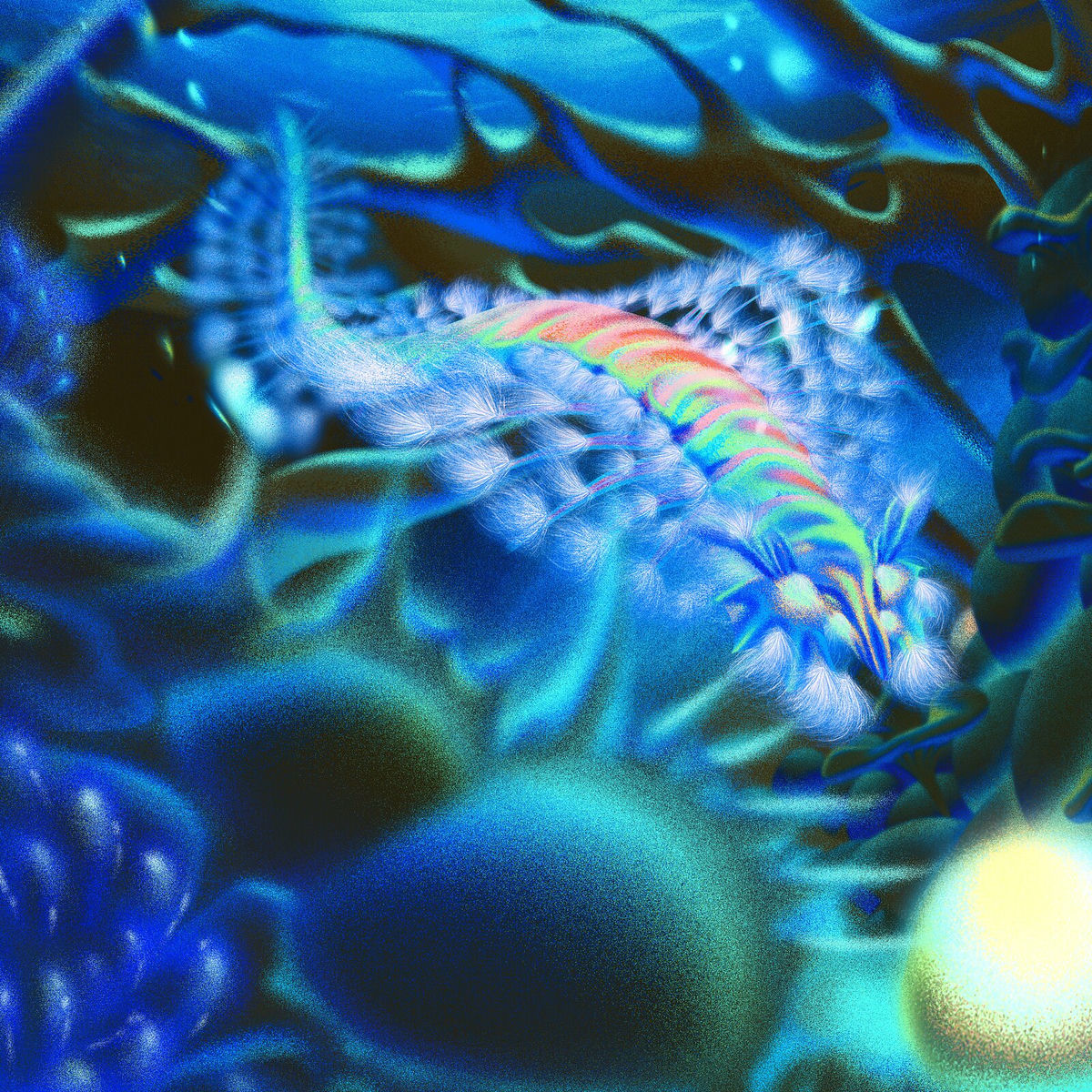 Album cover of Bearded Fireworm