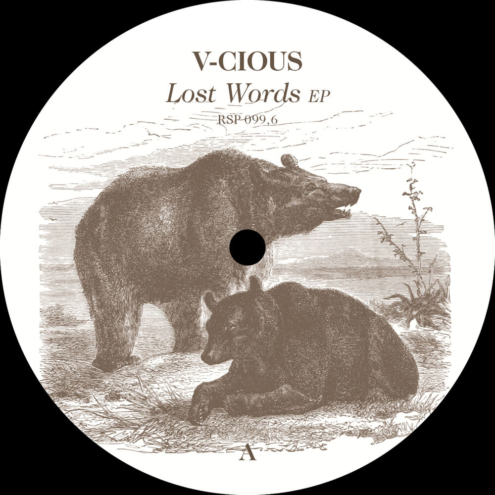Picture of Lost Words