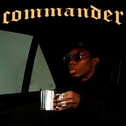 Cover of Commander