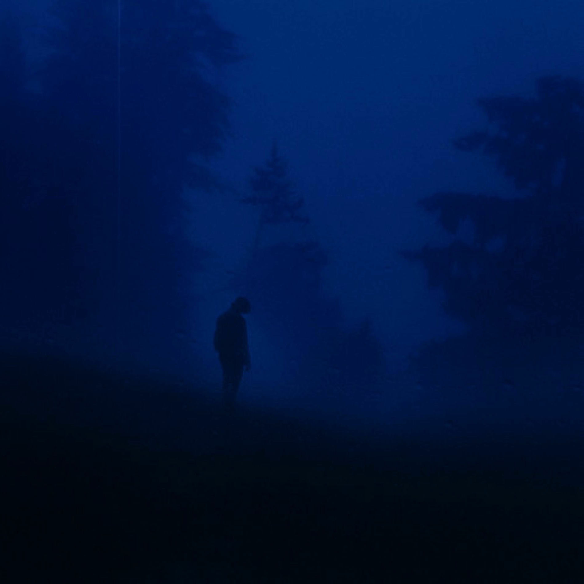 Album cover of the silence we left behind