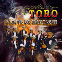 Cover of Exitos de Mariachi
