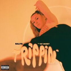 Cover of Trippin'