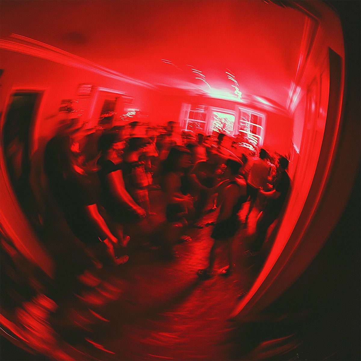 Album cover of I Don't Wanna Dance