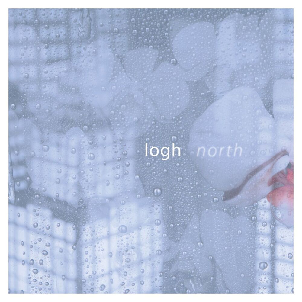 Picture of North