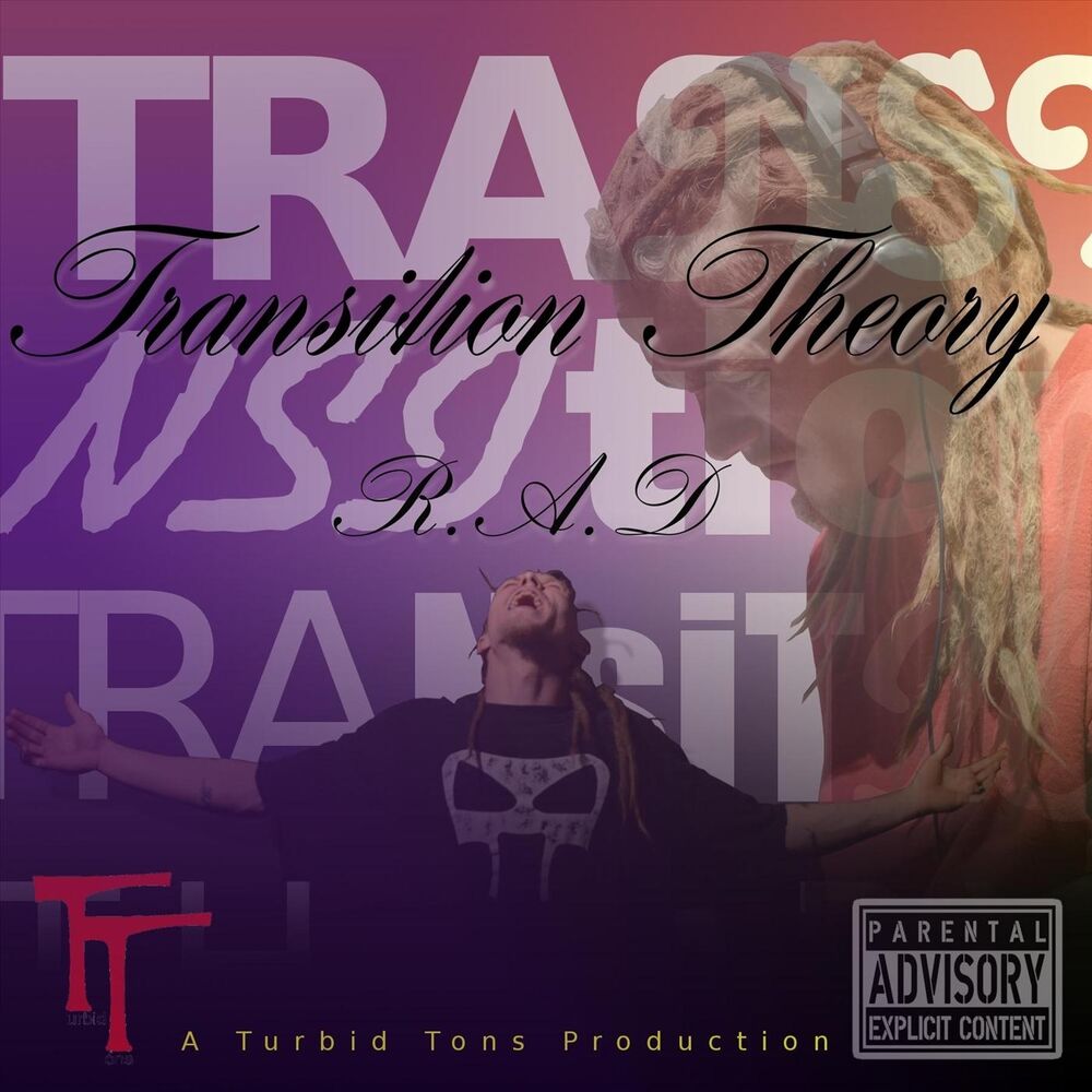 Picture of Transition Theory