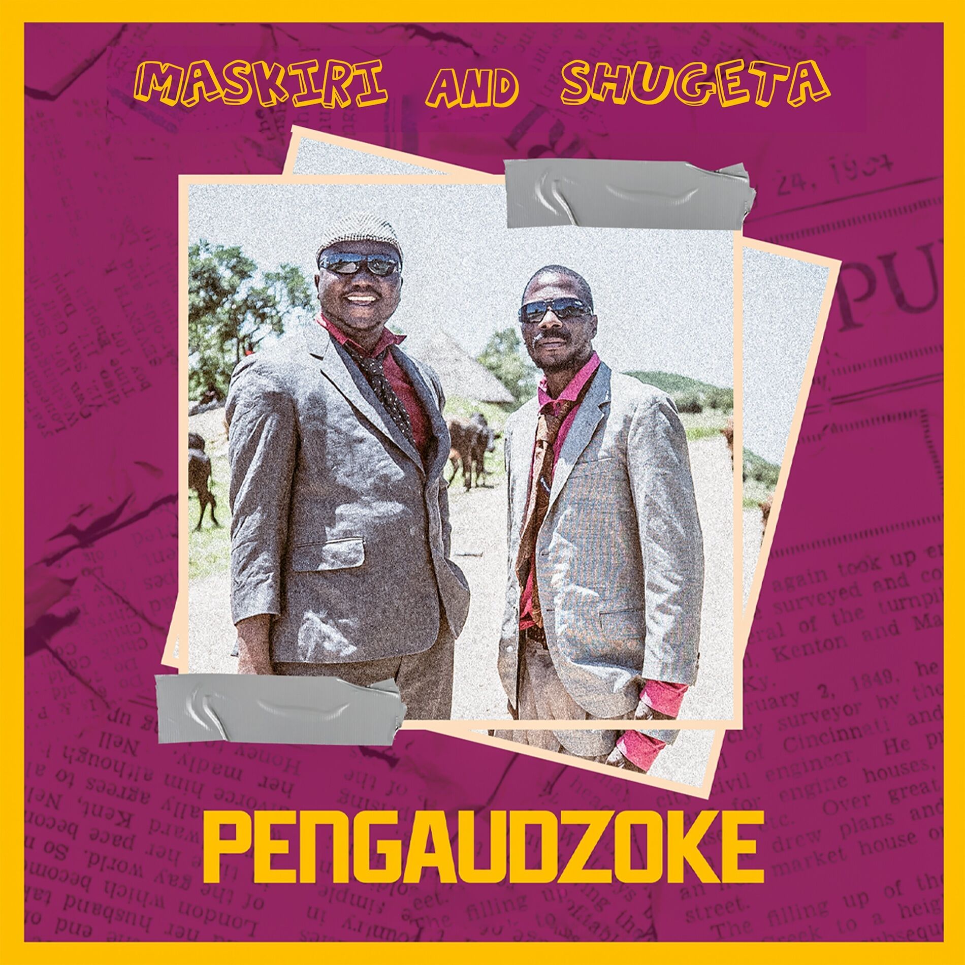 Album cover of Pengaudzoke