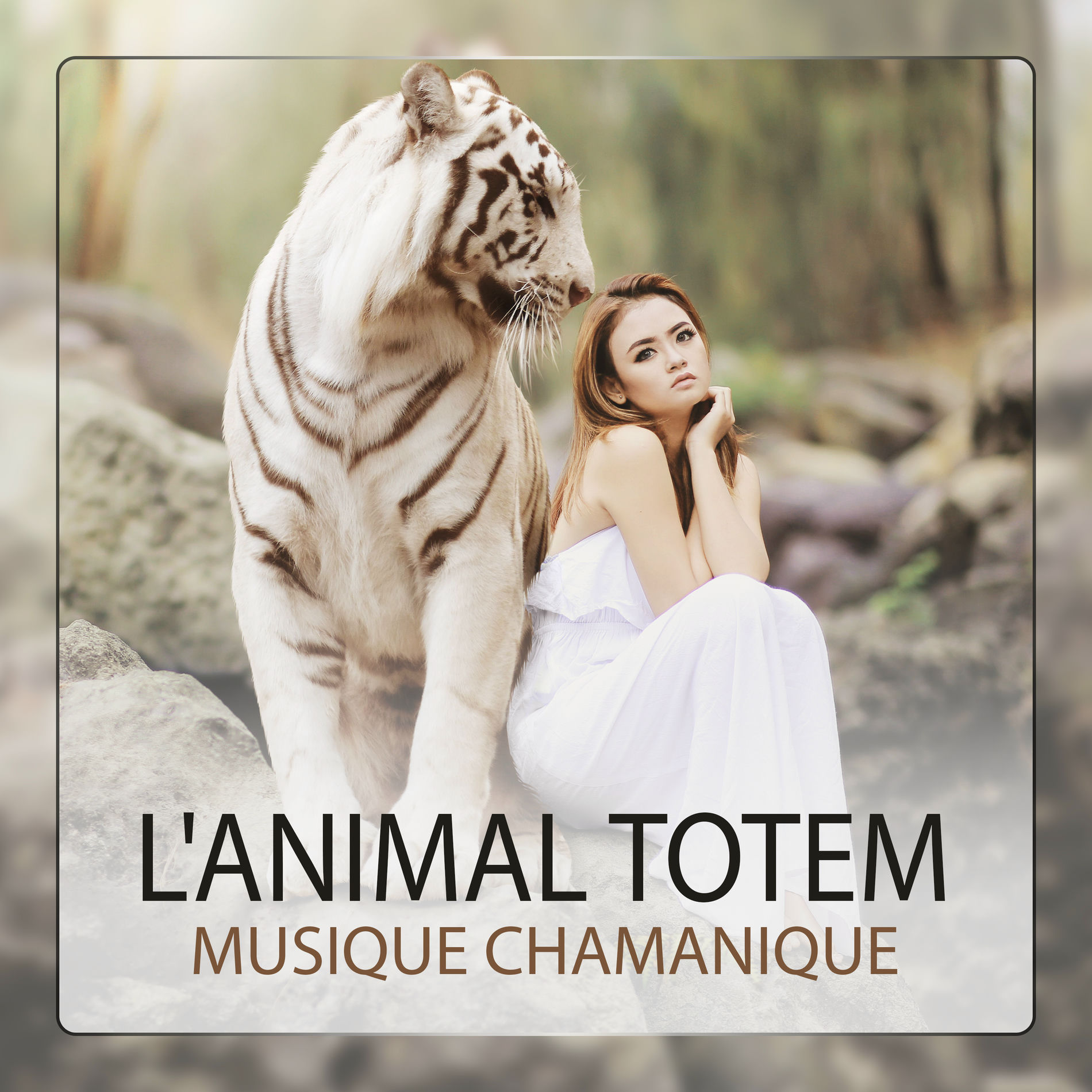 Album cover of Le voyage chamanique