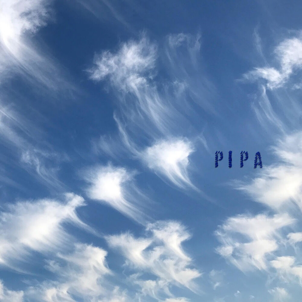 Picture of Pipa