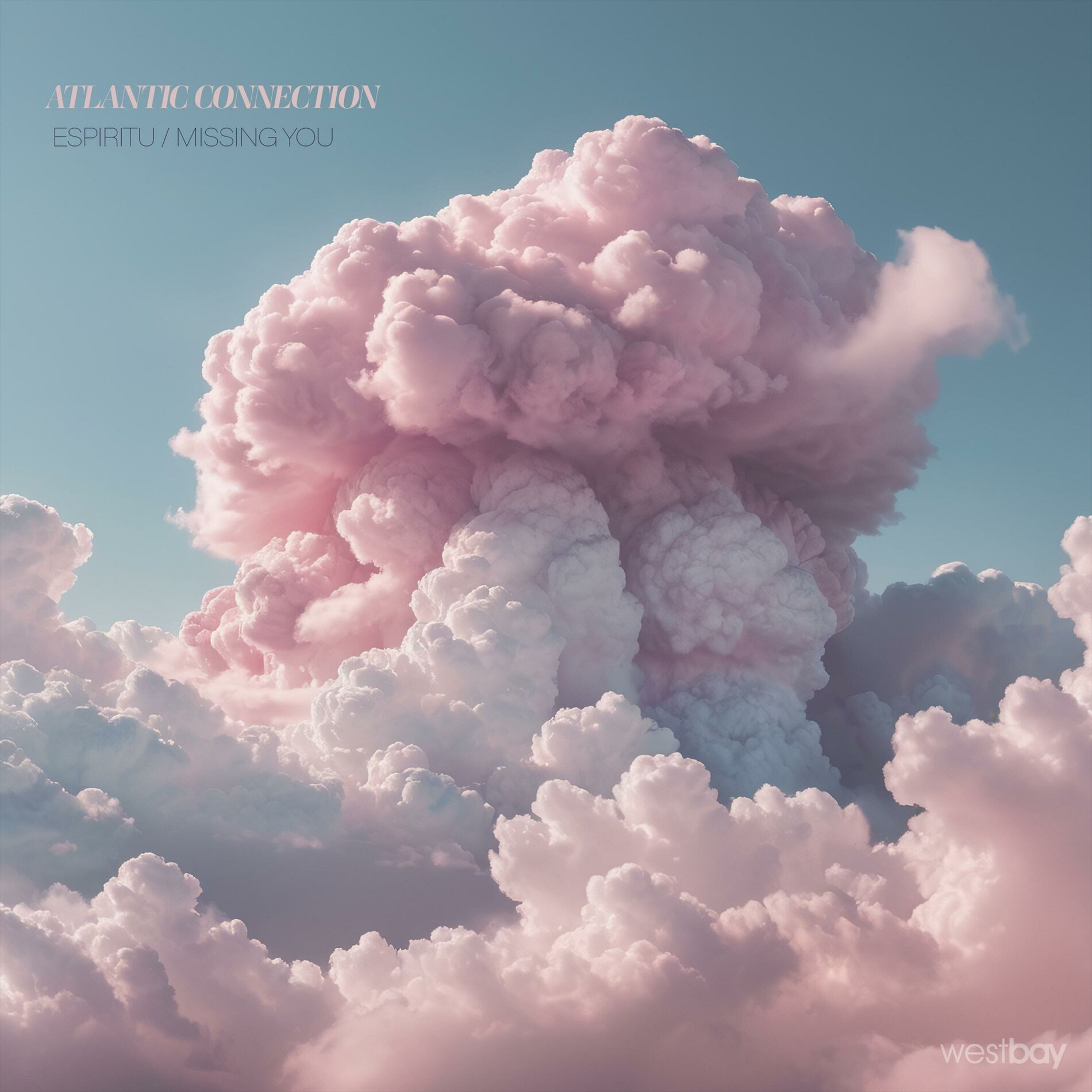 Album cover of Missing You