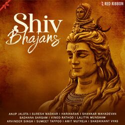 Cover of Shiv Bhajans
