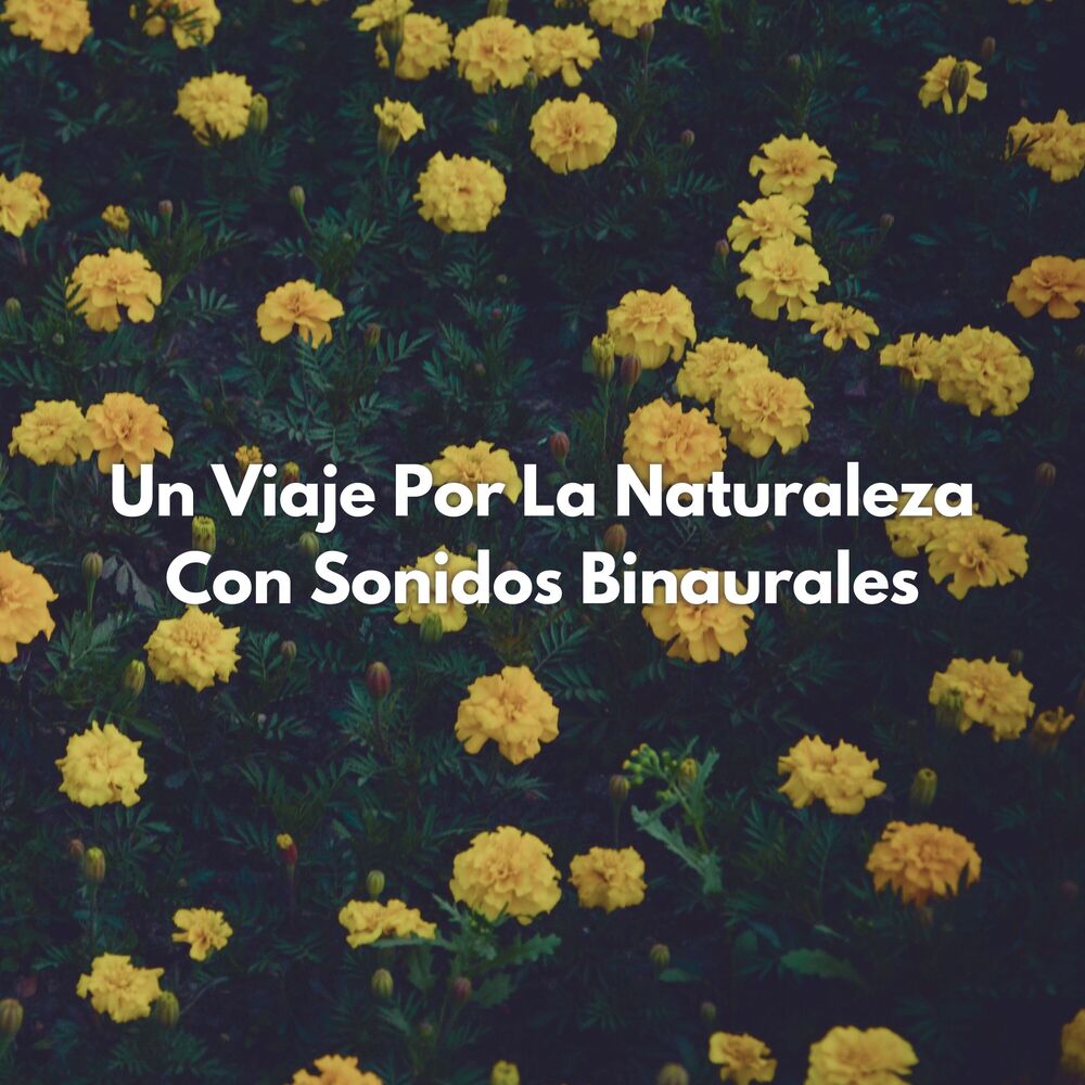 Picture of Un Viaje Por La Naturaleza Con Sonidos Binaurales
