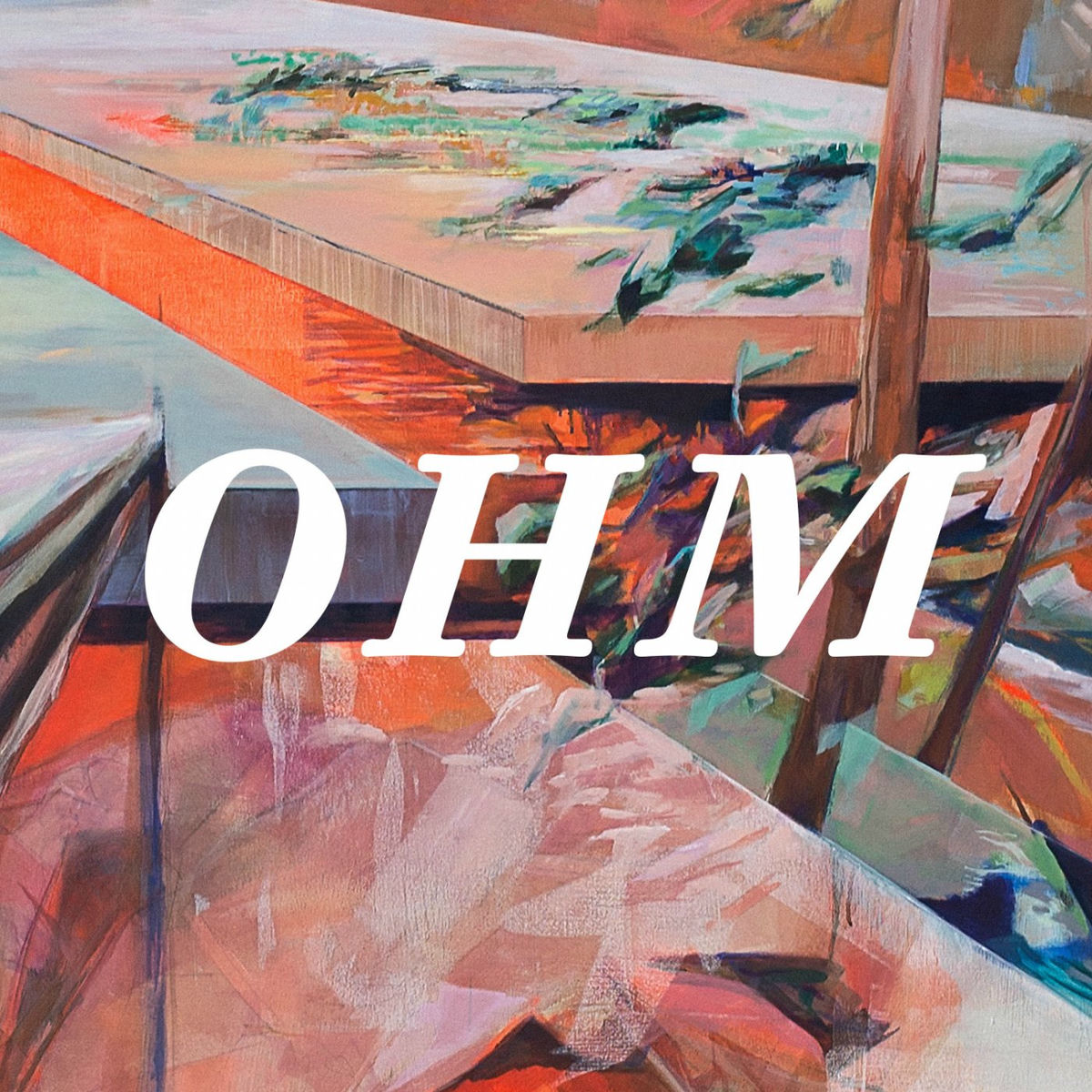 Album cover of Ohm