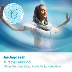 Cover of Miracles Abound: Meditations for Transformation