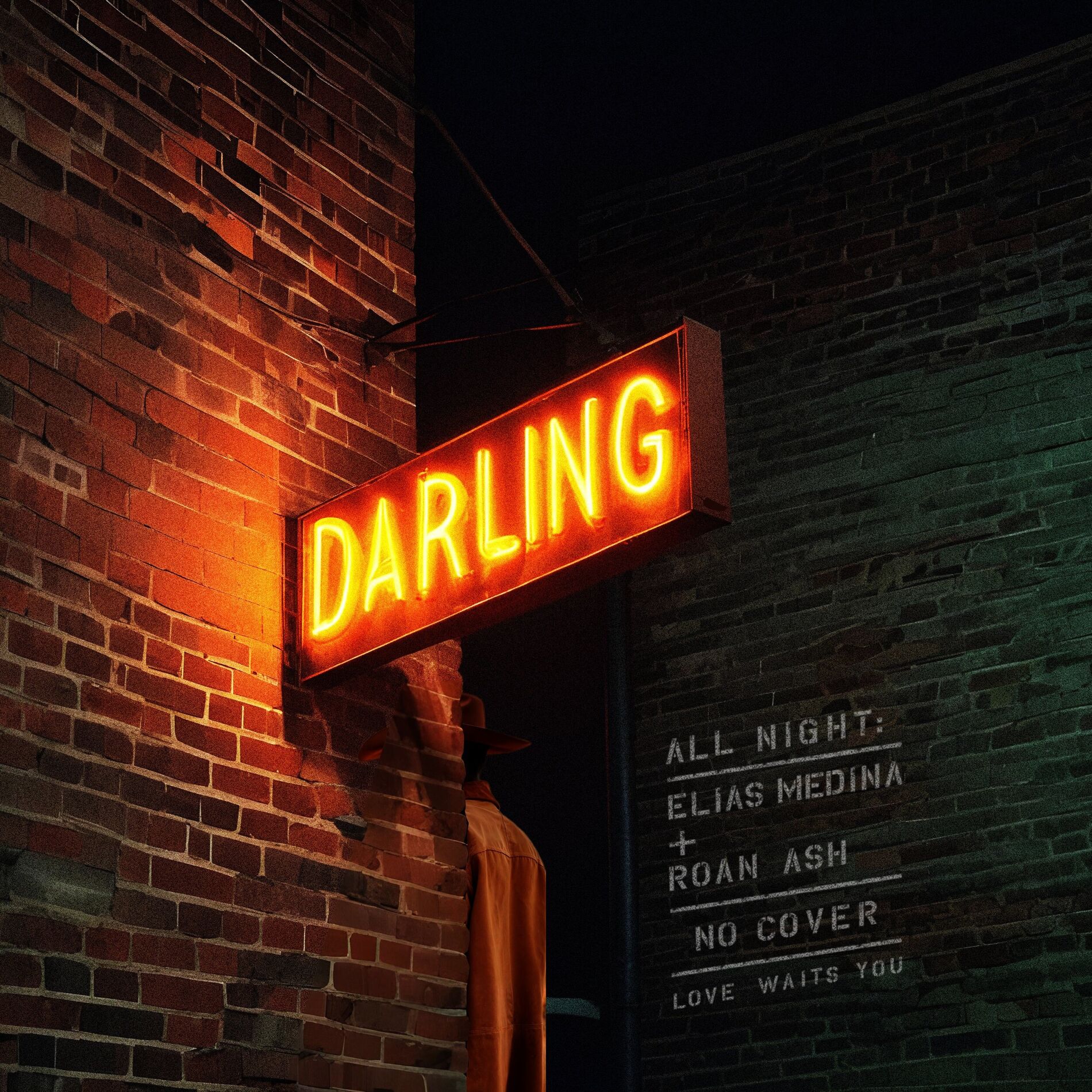 Album cover of Darling