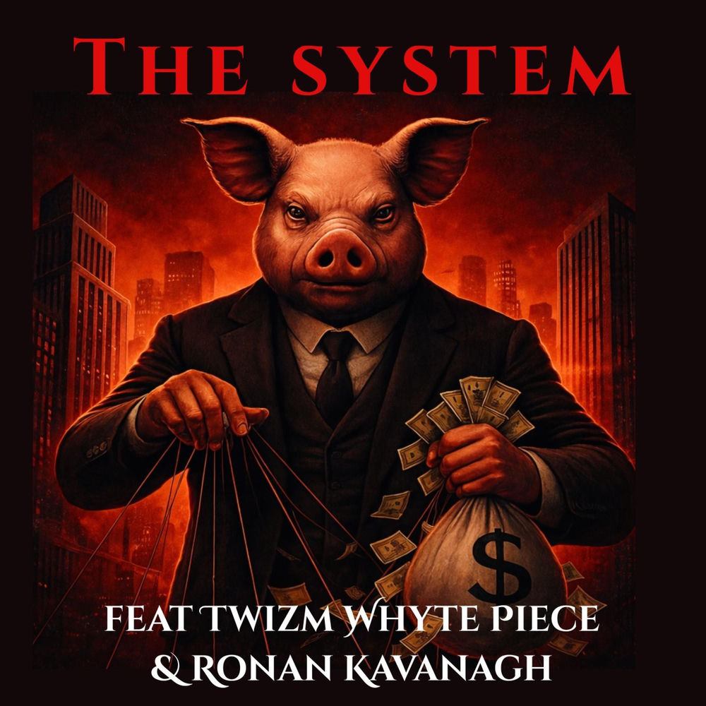 Album artwork for The System (feat. Twizm Whyte Piece & Ronan Kavanagh) by Reckless Velvet