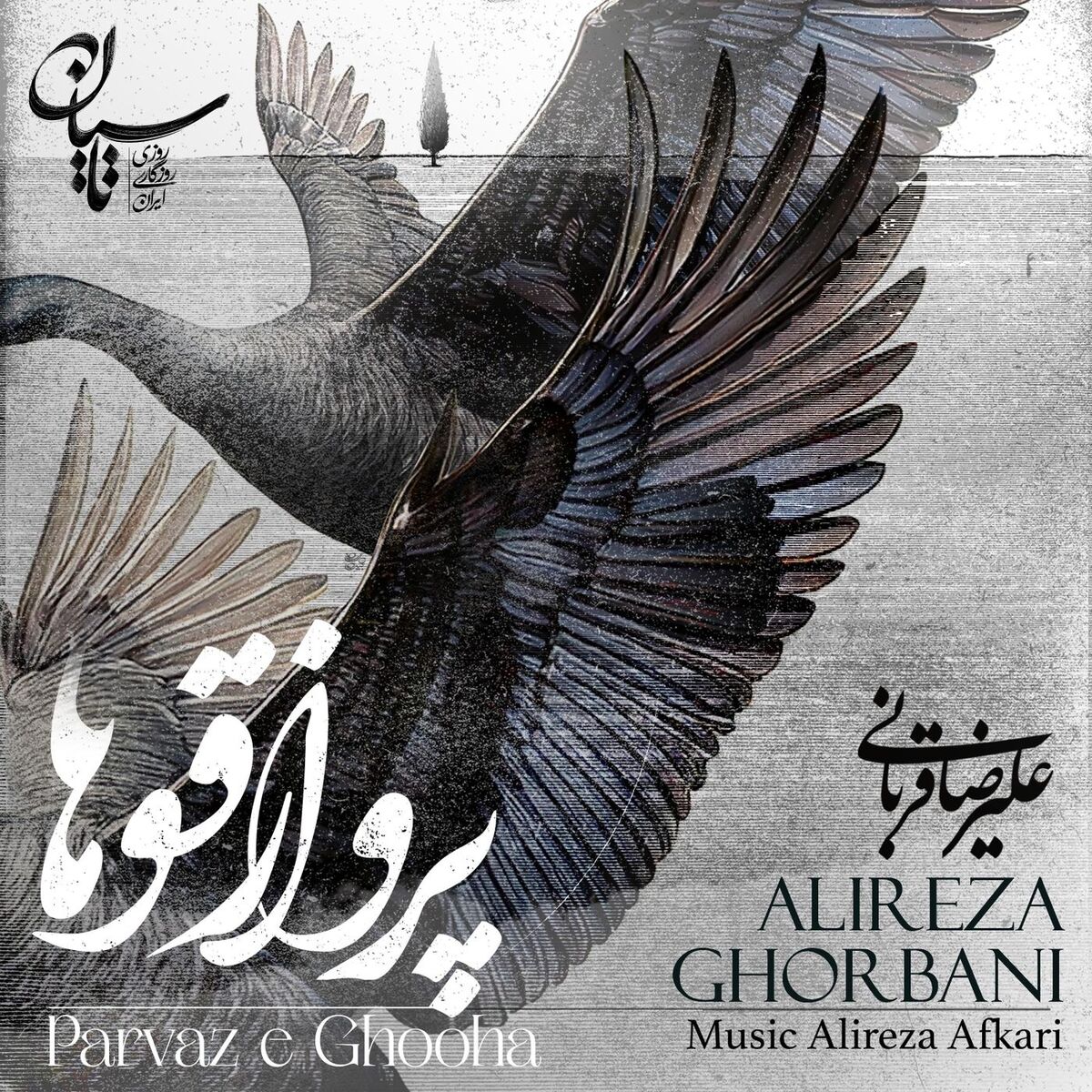 Album cover of Parvaze Ghooha
