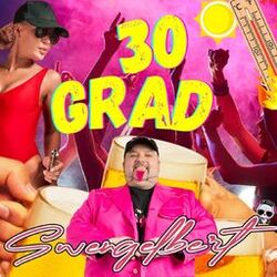 Cover of 30 Grad
