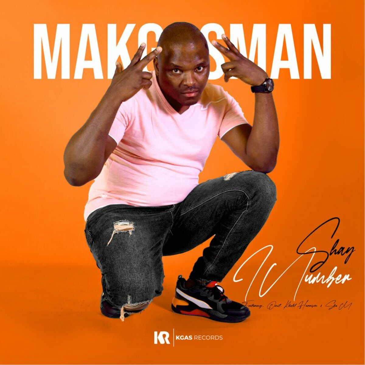 Album cover of Shay'iNumber