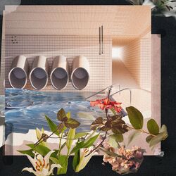 Cover of lost in the backrooms