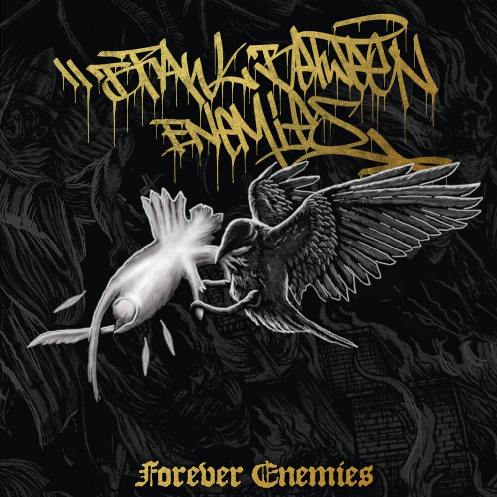 Picture of Forever Enemies