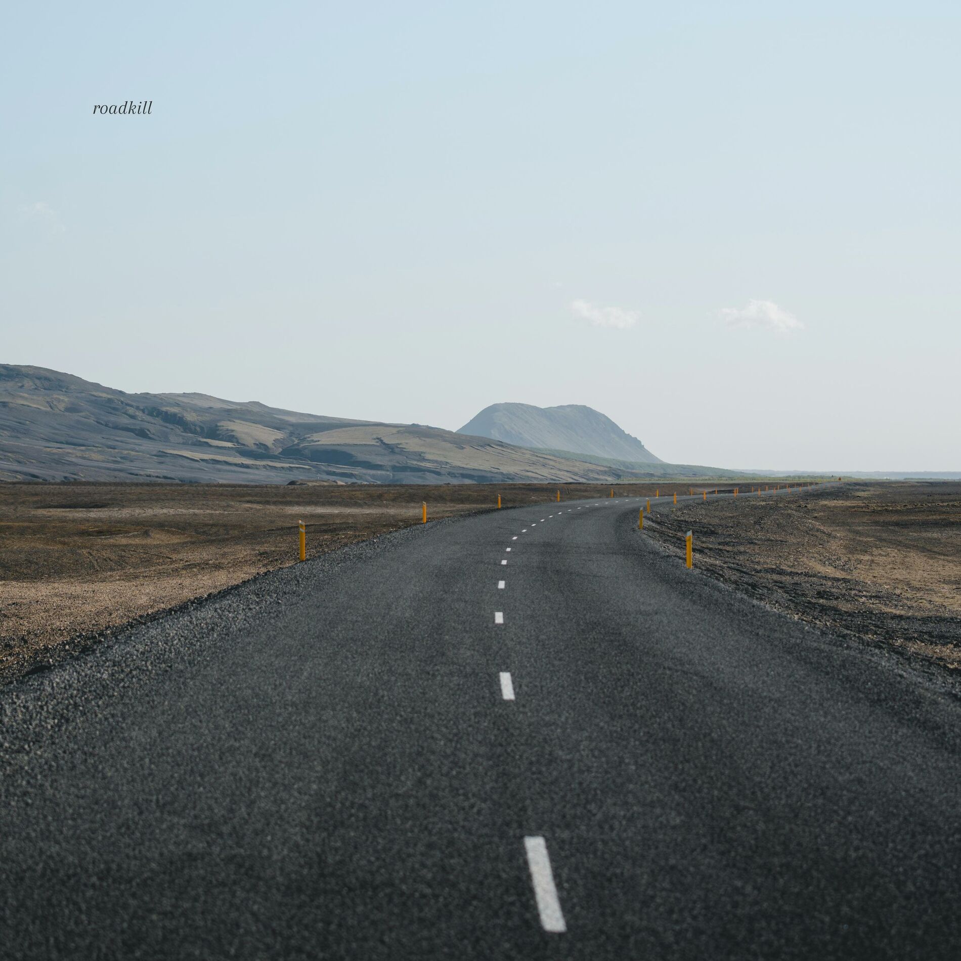 Album cover of Roadkill