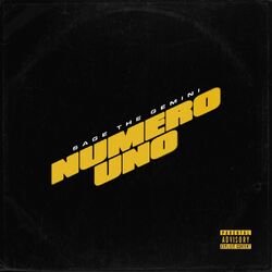 Cover of Numero Uno