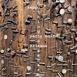 Cover of Nothing to See Here