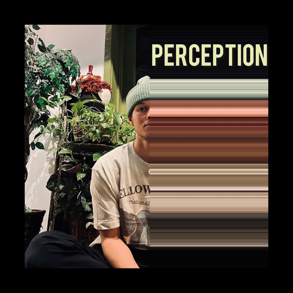 Picture of Perception