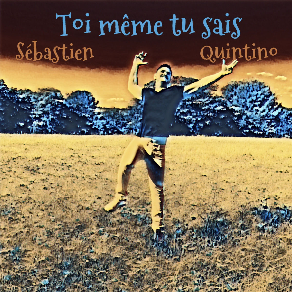 Album cover of Toi même tu sais