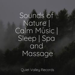 Cover of Sounds of Nature | Calm Music | Sleep | Spa and Massage