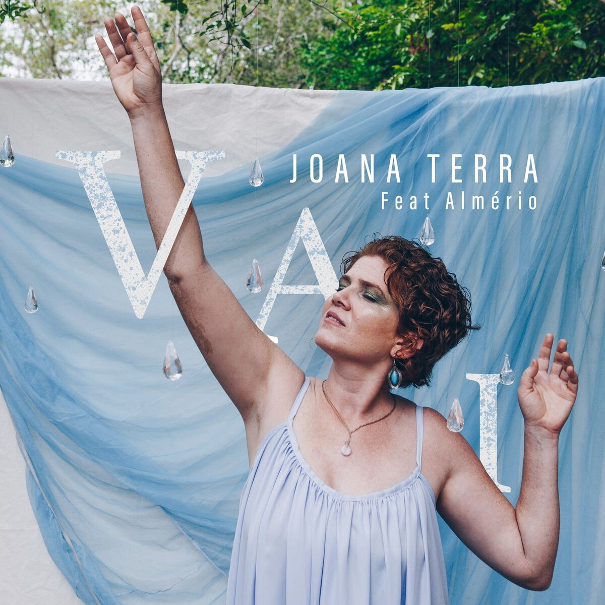 Album cover of Vai