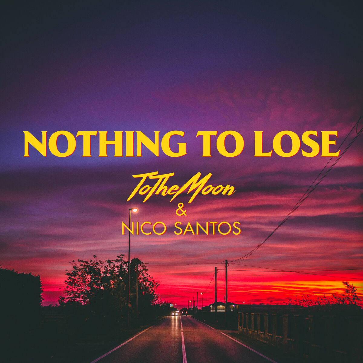 Album cover of Nothing To Lose