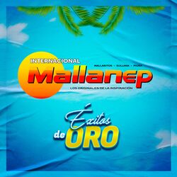 Cover of Éxitos De Oro