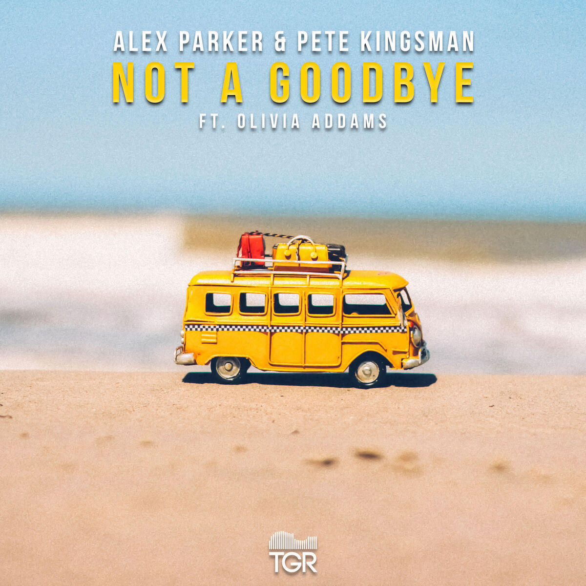 Album cover of Not a Goodbye