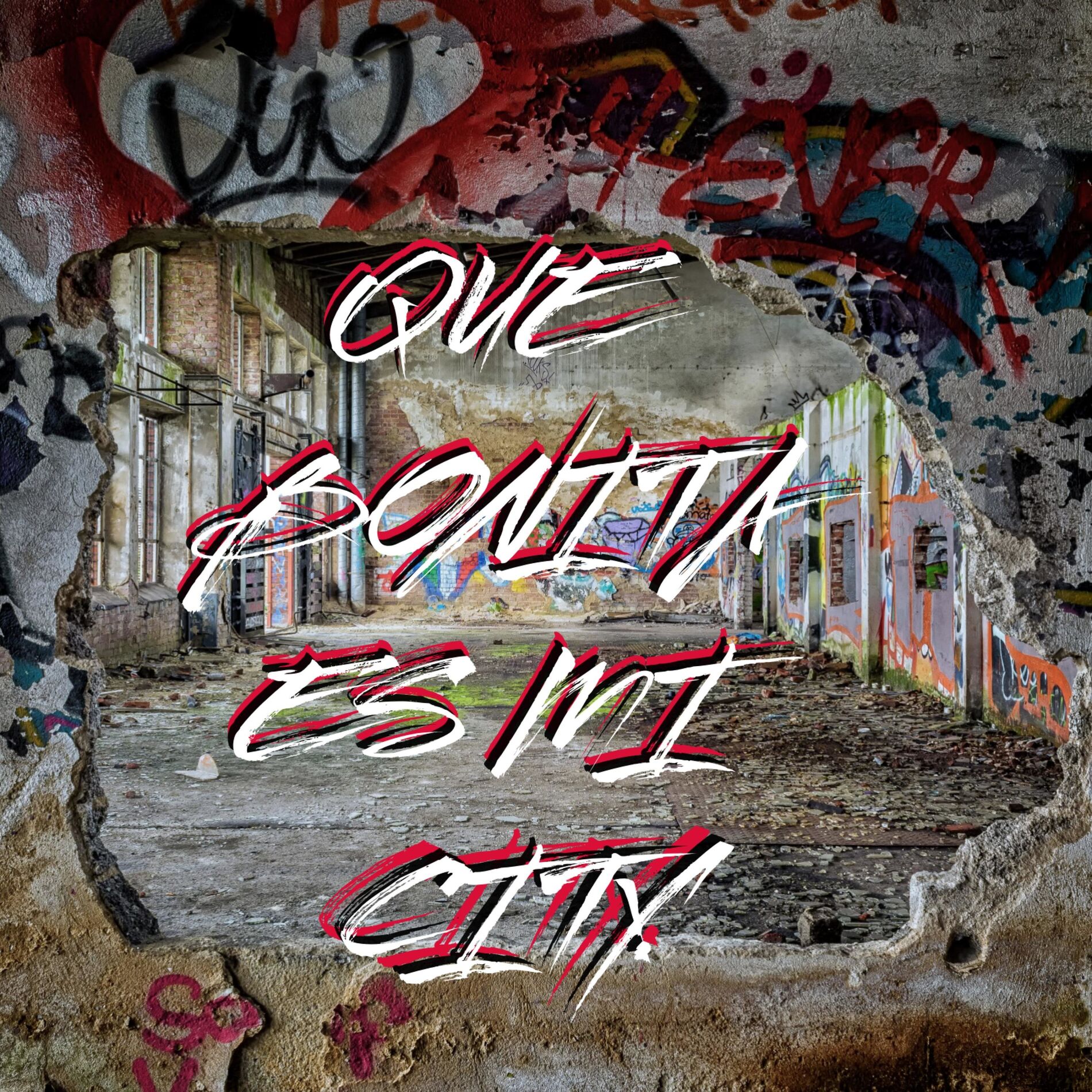 Album cover of Que Bonita Es Mi City (feat. Maganhola)