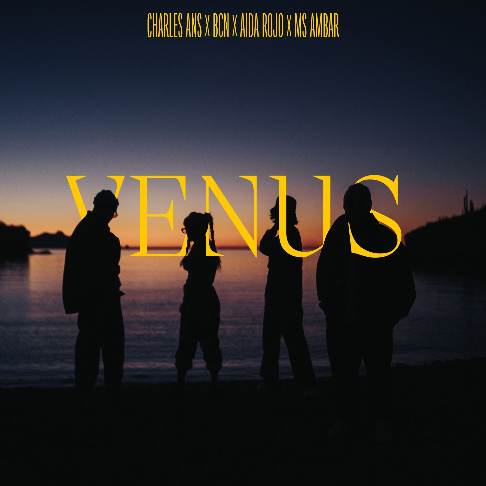 Album cover of Venus