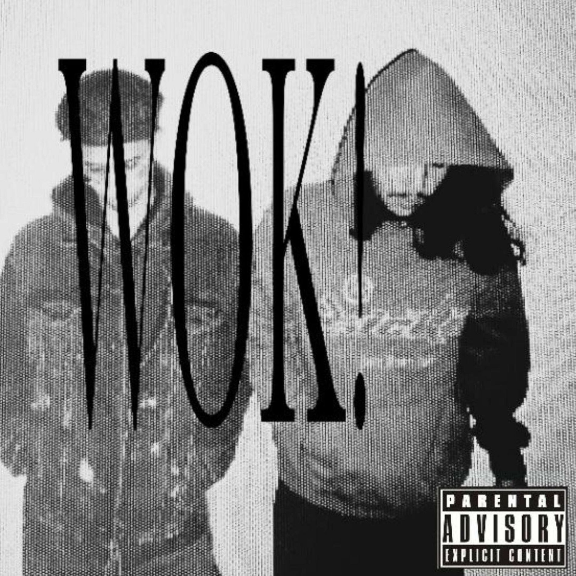 Album cover of WOK! (feat. Venus)