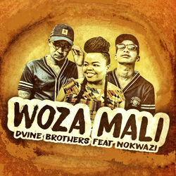 Cover of Woza Mali