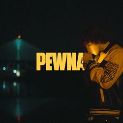 Cover of Pewna