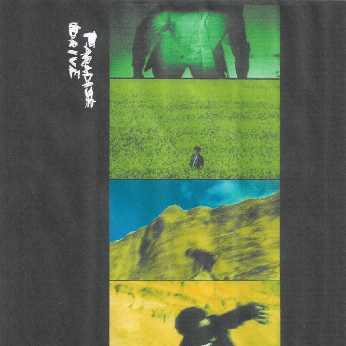 Album cover of Paradise Drive