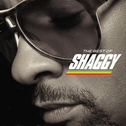 Cover of The Best Of Shaggy