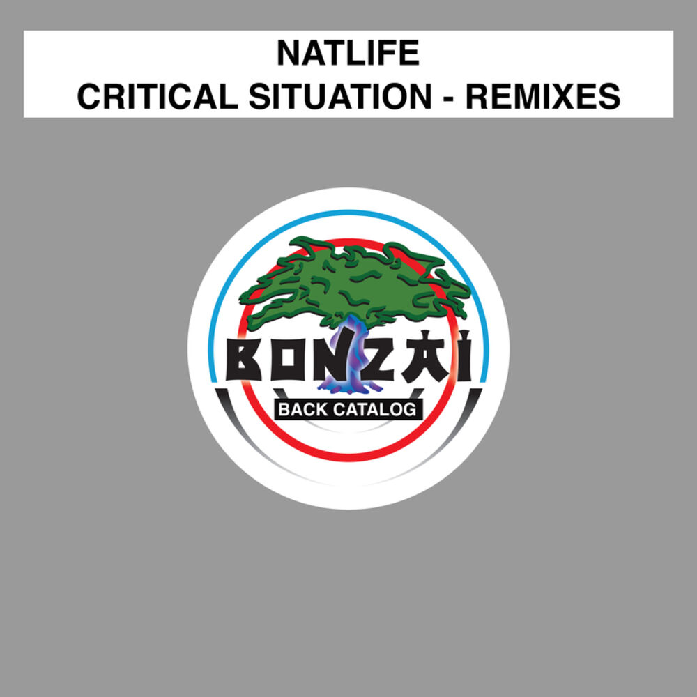 Picture of Critical Situation - Remixes
